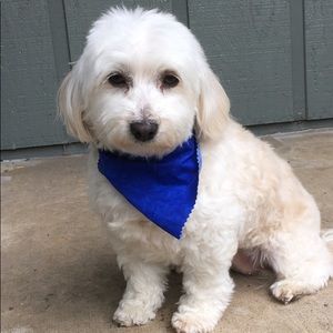 Meet your Posher, Mayra